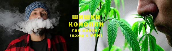 стафф Волосово