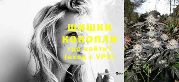 тгк Верея