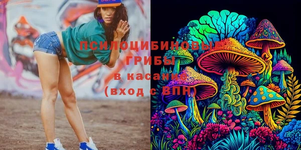 стафф Волосово