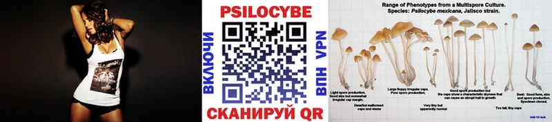 Галлюциногенные грибы Cubensis  Бийск 